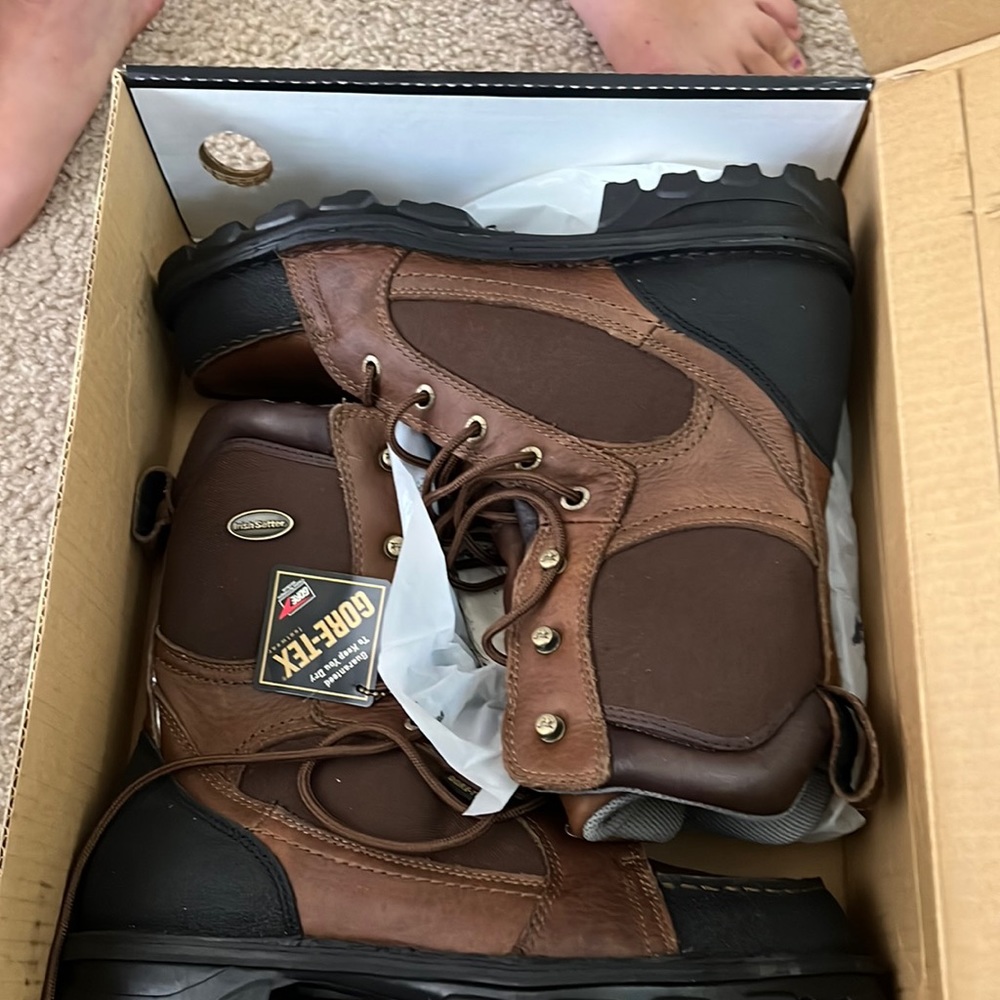 Irish setter by red wing